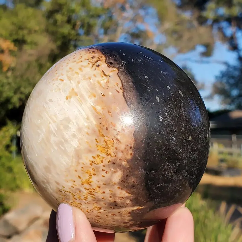 Large Petrified Palm Root Wood Fossil Crystal Sphere Indonesian 714 grams | 82mm